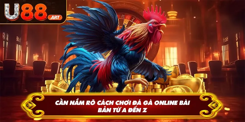 Cần nắm rõ cách chơi đá gà online bài bản từ A đến Z
