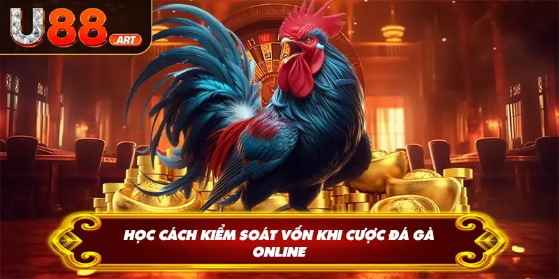 Học cách kiểm soát vốn khi cược đá gà online